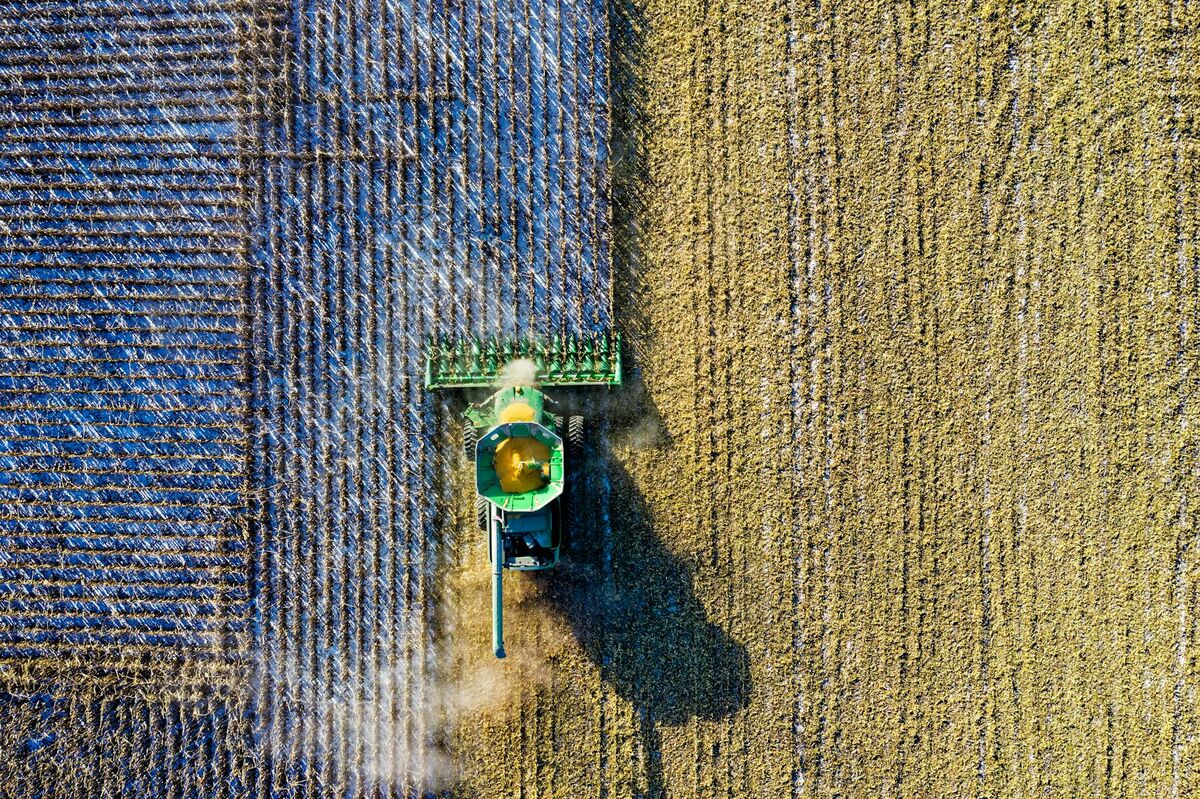 Aerial view of agricultural fields from a drone, showing the patchwork of crops used in orthomosaic mapping