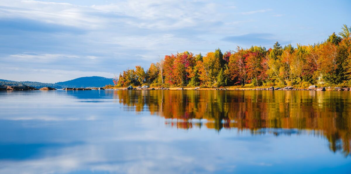 Aerial view of a police crash scene documentation with SkyeBrowse videogrammetry
