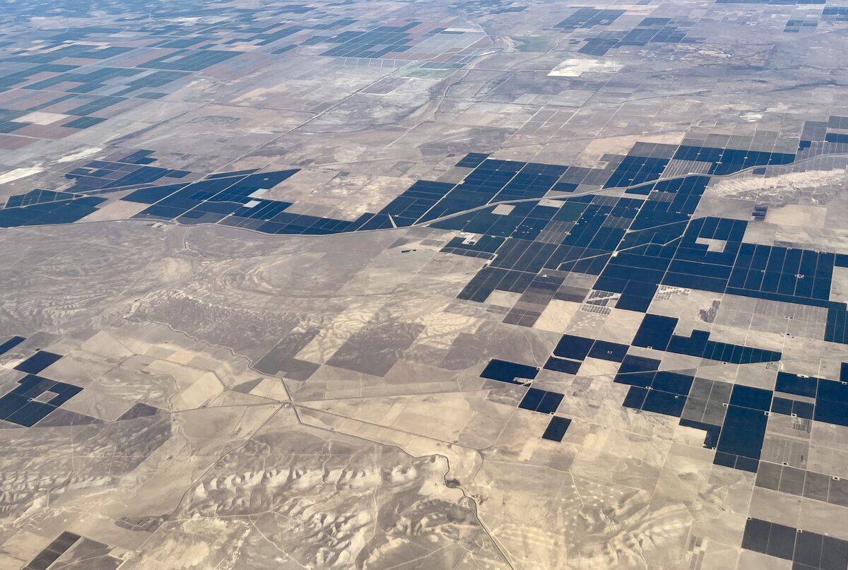 Pix4D Survey-Grade Orthomosaic Output