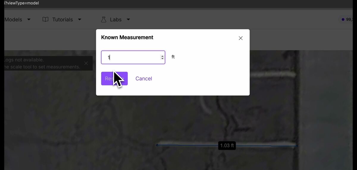 SkyeBrowse scale tool dialog entering a known measurement to rescale the model