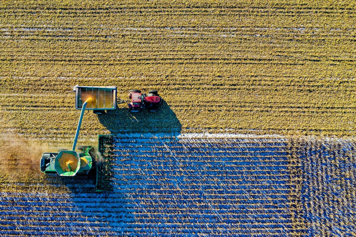 Aerial view of agricultural fields captured by drone for precision mapping and field analytics