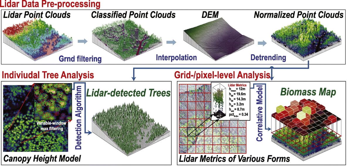 LiDAR forestry scan showing ground returns beneath vegetation canopy with color-coded elevation