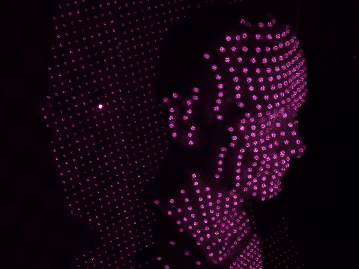 Dense 3D point cloud of a real-world subject produced by photogrammetry processing