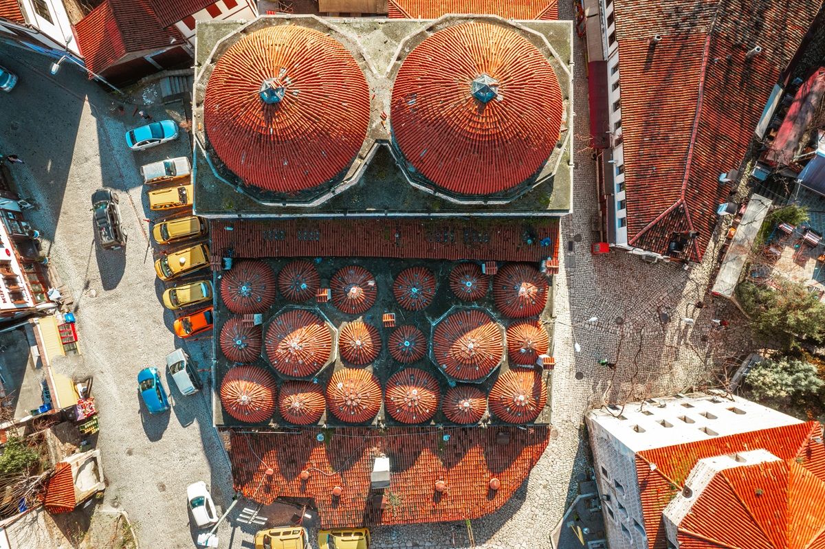 orthomosaic skyebrowse