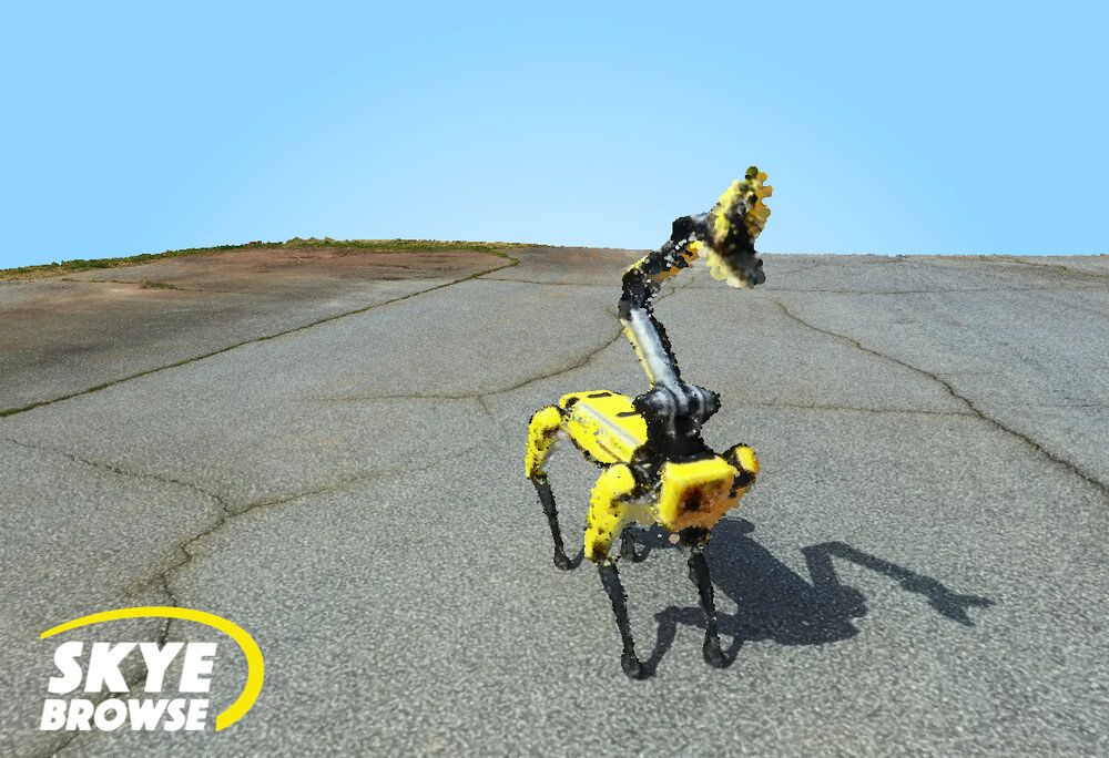 skyebrowse boston dynamics